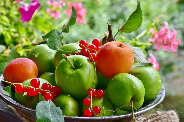 úroda ovoce